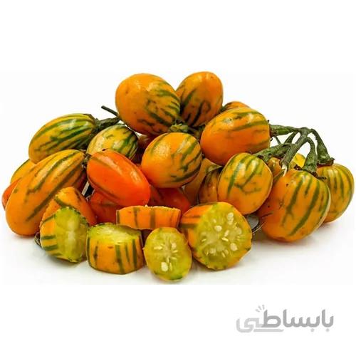 بذر بادمجان توگا
