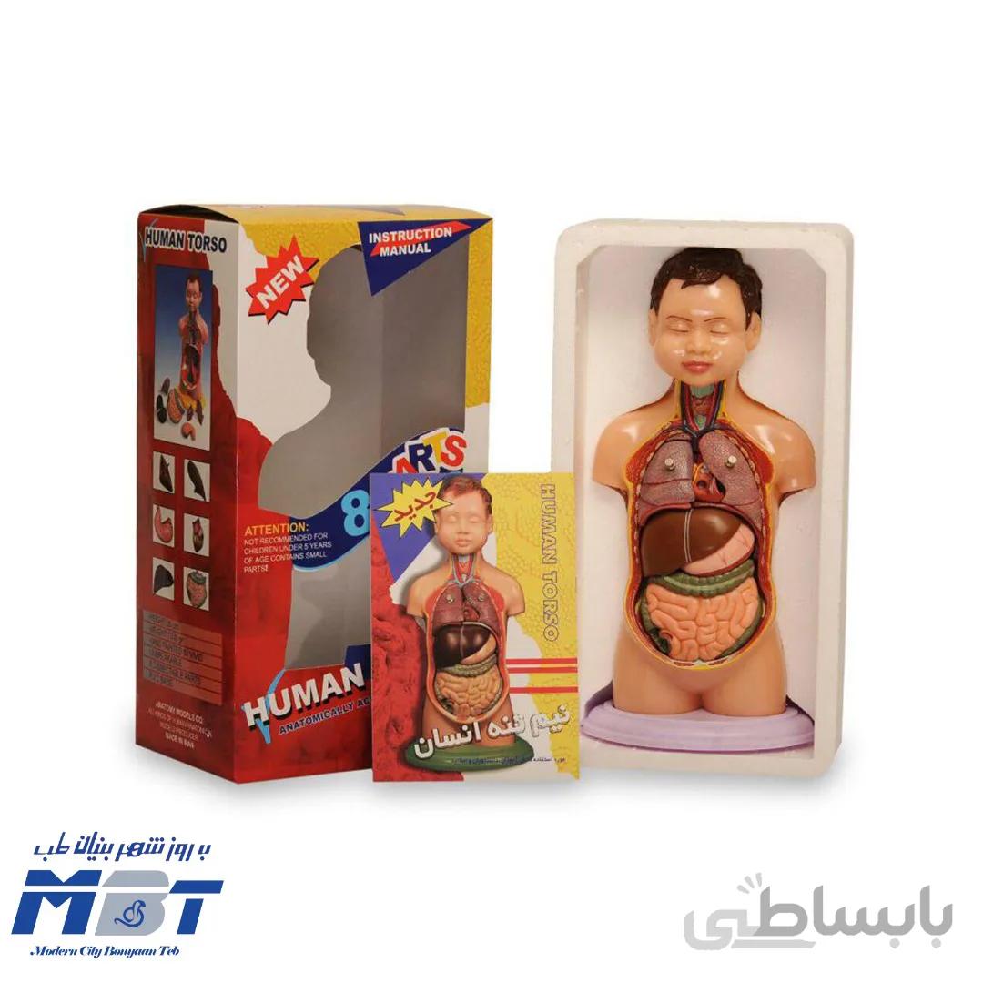 مولاژ نیم تنه انسان مدل عروسکی