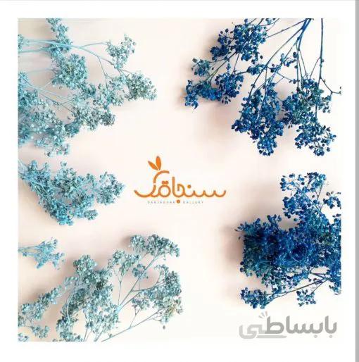 سبزه ریزه آبی