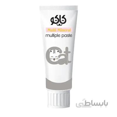 خمیر مینرال Kako مخصوص گربه - 100 گرم