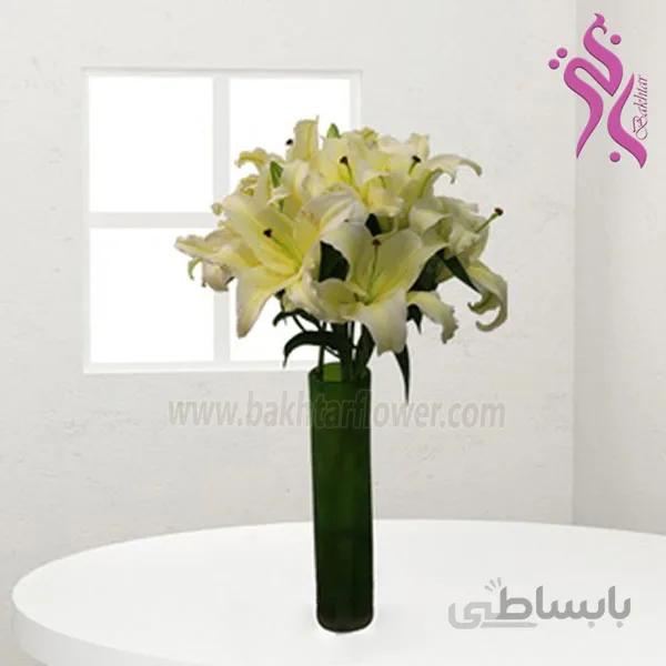 یک شاخه لیلیوم سفید