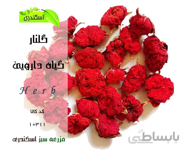 گلنار(گونه اصلی)
