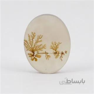 سنگ شجر کد 2390 ا قیمت به شرط خرید تیمی