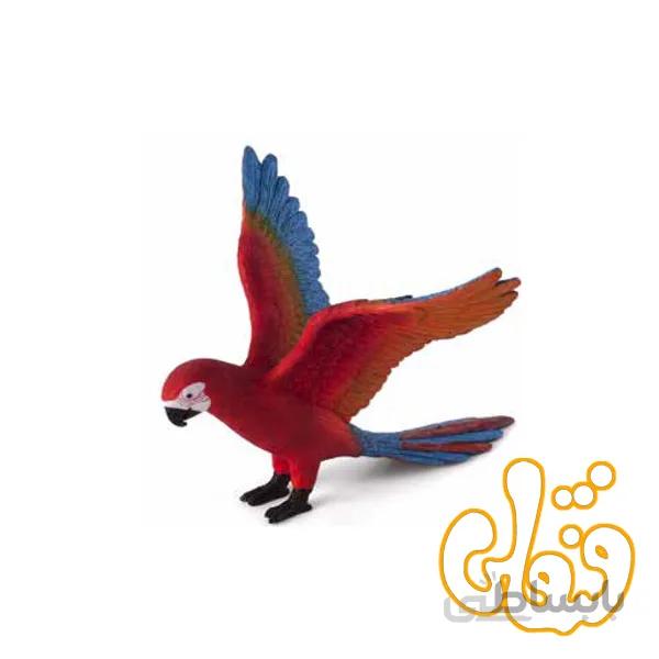 طوطی Parrot 387263