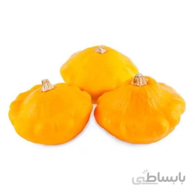 بذر کدو ستاره ای نارنجی بسته ۱۰ عددی