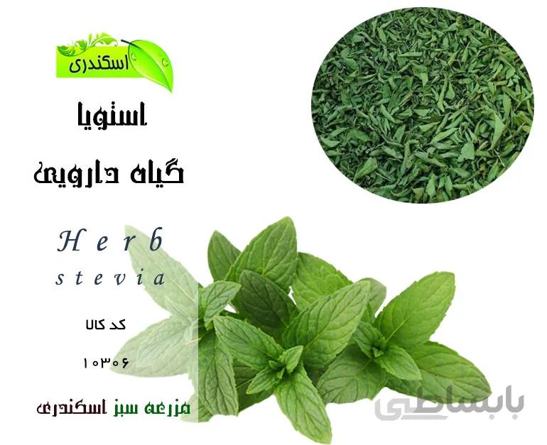 گیاه استویا