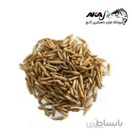 ماگوت خشک DRY MAGGOT
