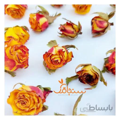 غنچه رز هفت رنگ (۱۰ عددی)