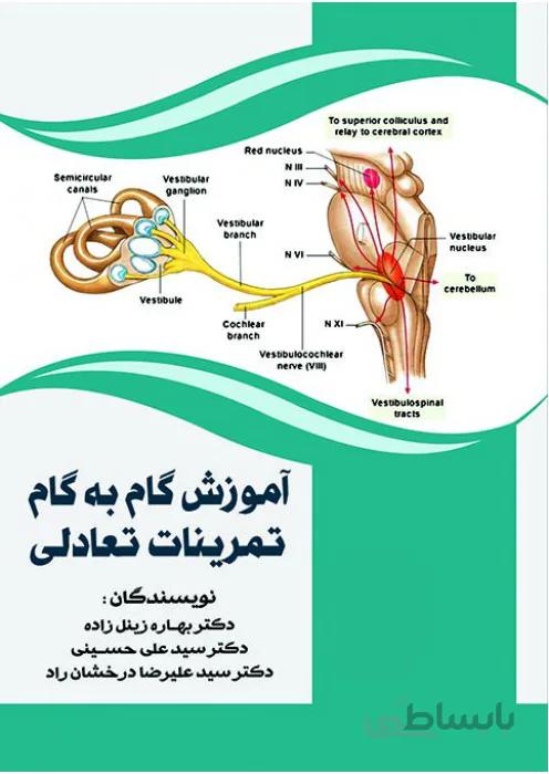 آموزش گام به گام تمرینات تعادلی