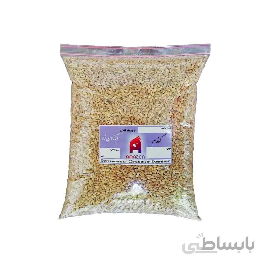 گندم