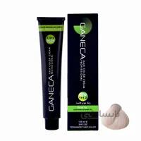 رنگ مو گانسا شماره 10.1 حجم 100 میلی لیتر رنگ بلوند دودی خیلی خیلی روشن ا GANECA Hair Color Cream 100ml Ultra Lighte Smoky Blonde No:C10_10.1