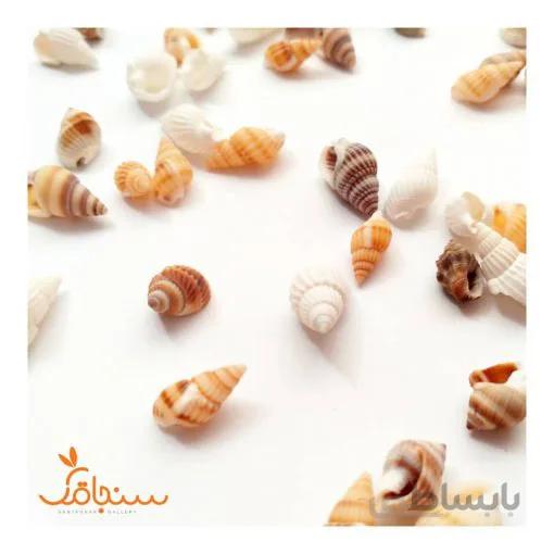صدف ریز مخلوط