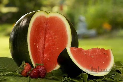 بذر هندوانه شوگربیبی استاندارد آمریکایی بسته 20 عددی
