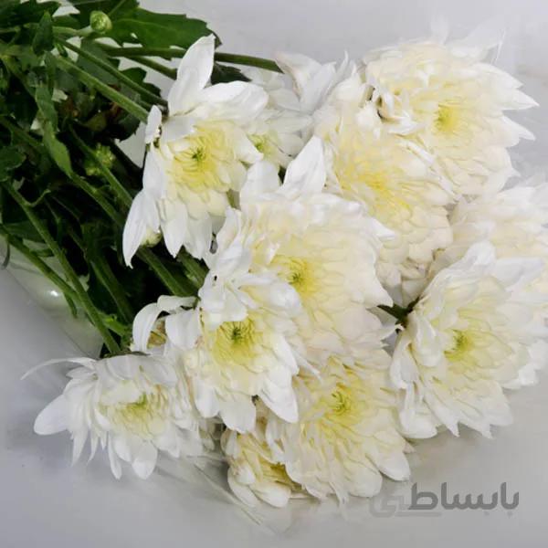 دسته گل میخک سفید