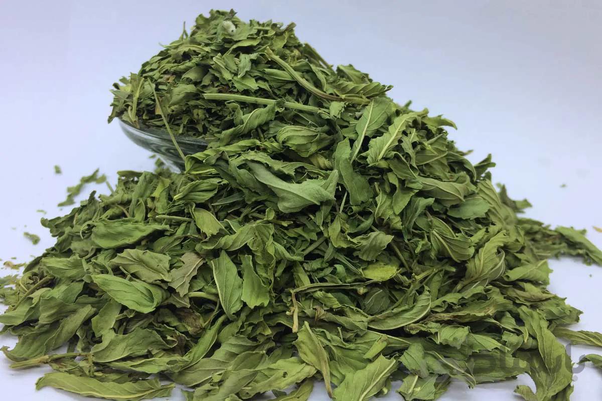 برگ نعنا خشک شده