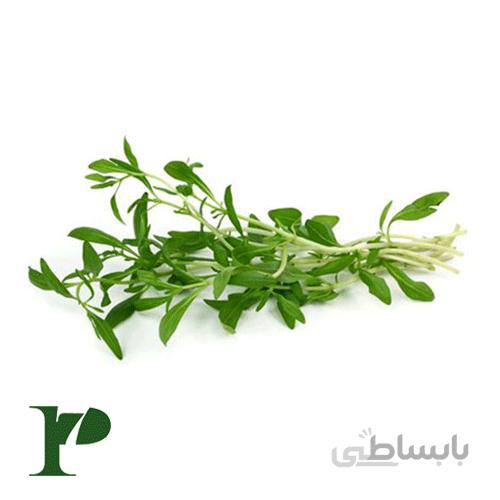 مرزه خشک بستهی 100 گرمی