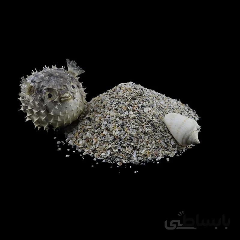 پودر صدف دریا