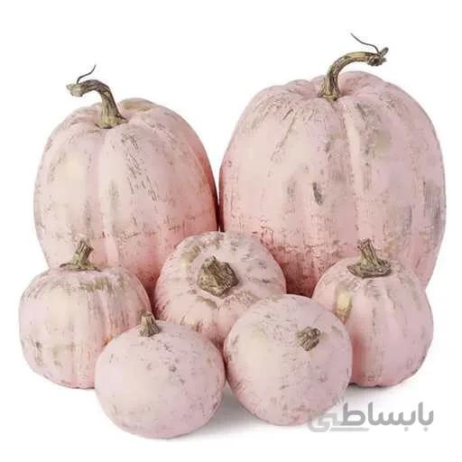 بذر کدو تنبل عروسک سفالی صورتی