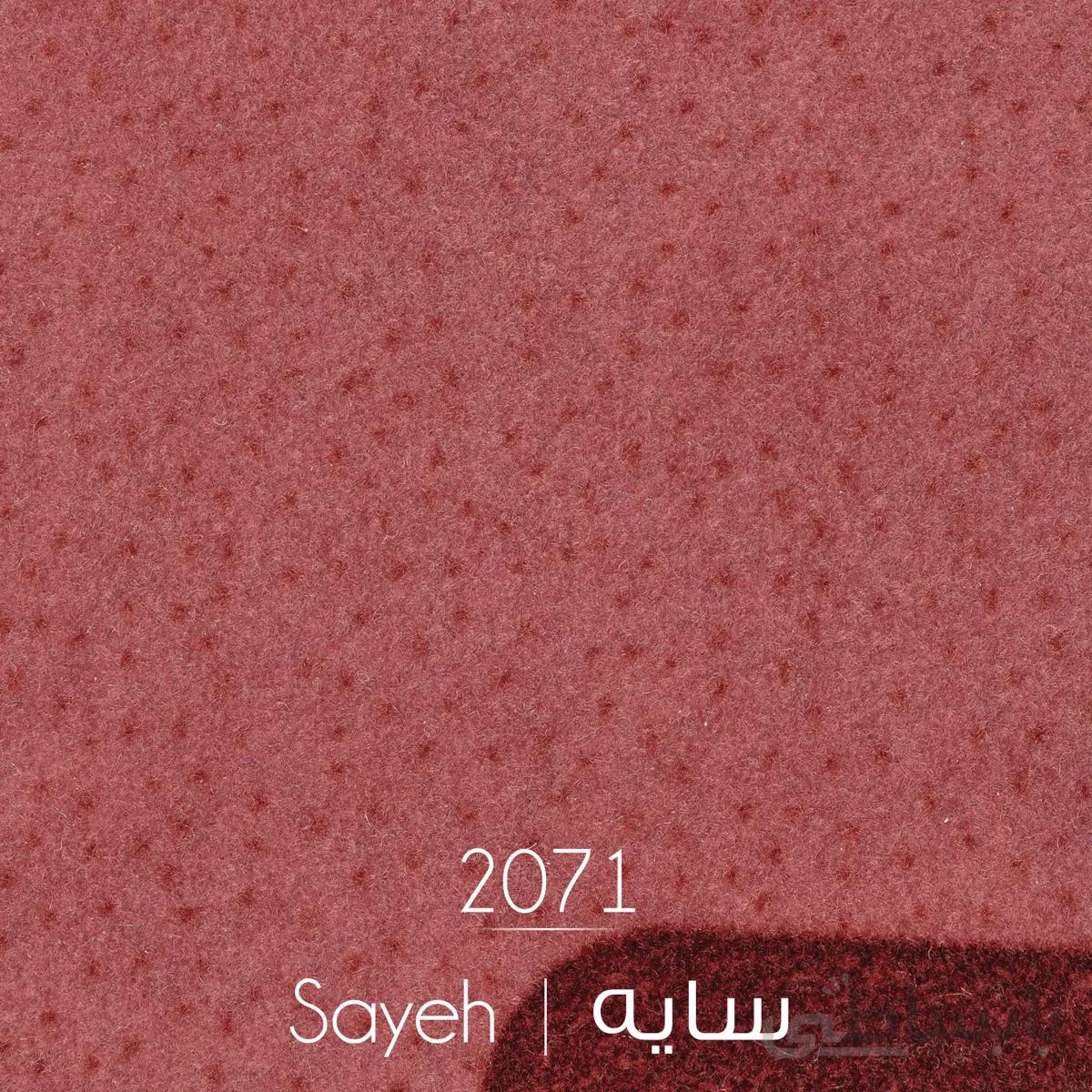ظریف مصور طرح سایه 2071