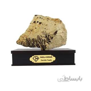 سنگ شجر فسیلی (دندریتی ) کد 2356 ا قیمت به شرط خرید تیمی