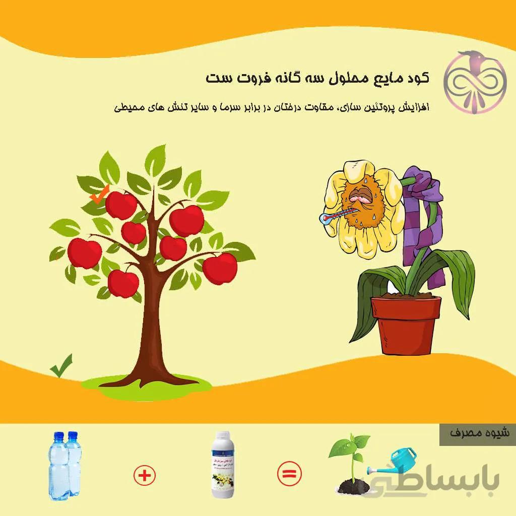 کود مایع محلول سه گانه فروت ست