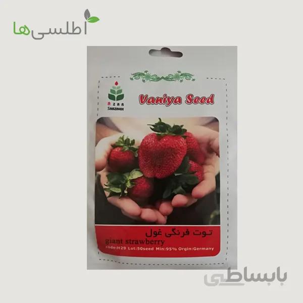 بذر توت فرنگی