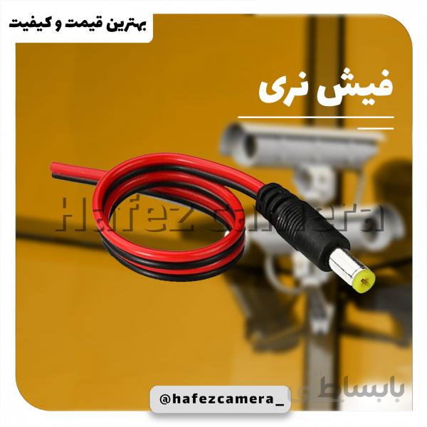 فیش پاور نری