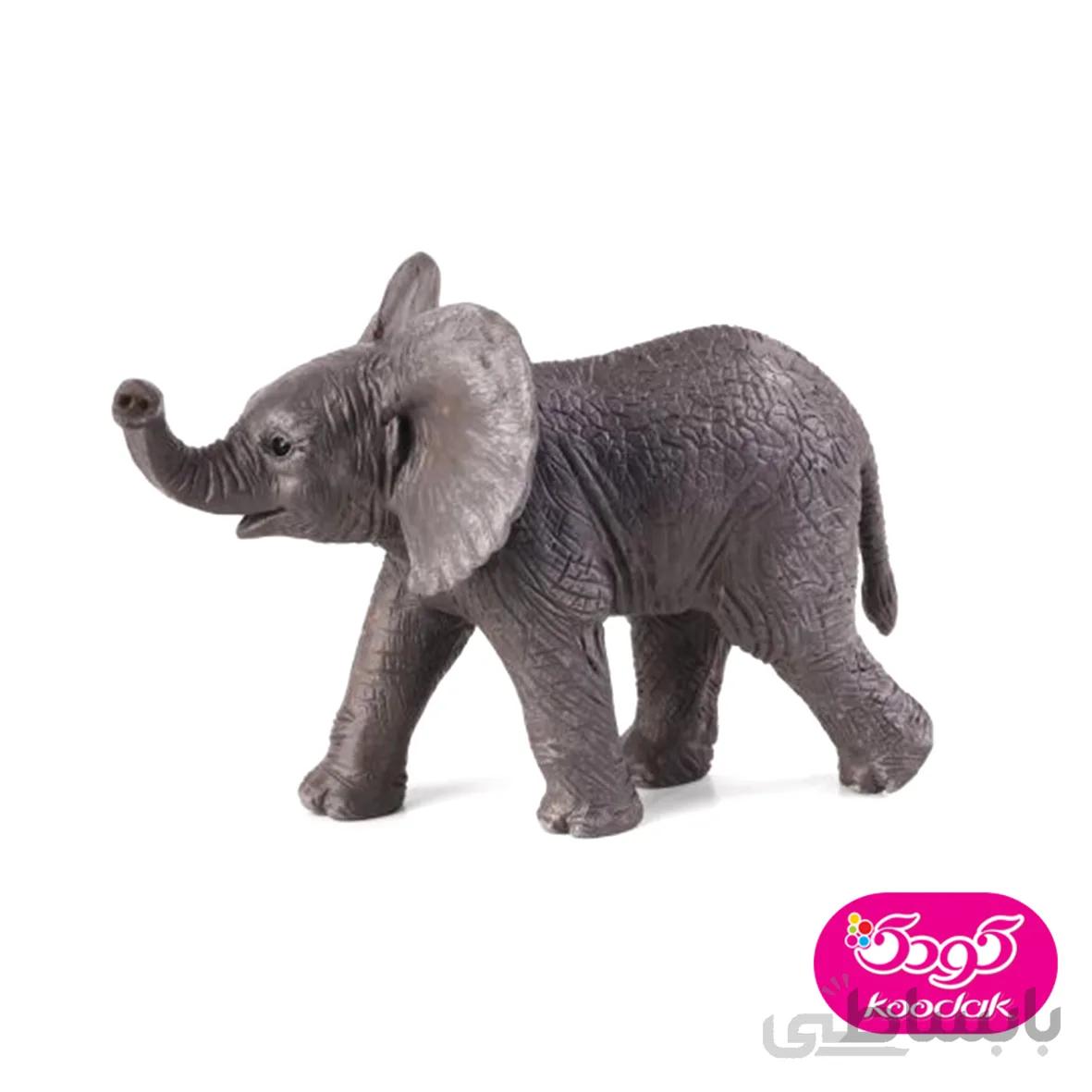 بچه فیل آفریقایی 387002 – حیوانات موجو