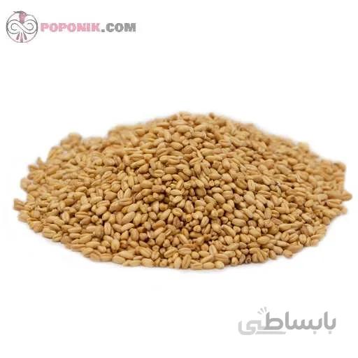 گندم پوست کنده