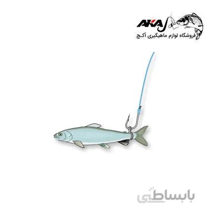بیت بند BAIT BAND
