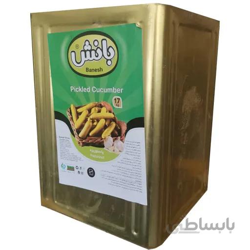 خیار شور معمولی حلب خالص 8 کیلویی بانش