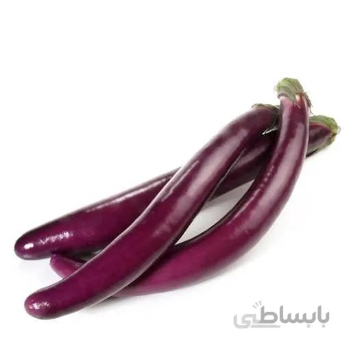 بذر بادمجان بنفش بلند