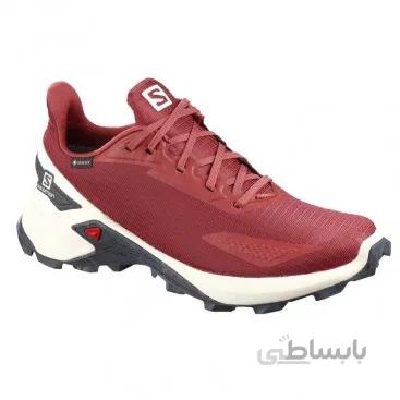 کفش رانینگ سالومون مدل Salomon Alphacross Blast Gore-Tex کد 411065