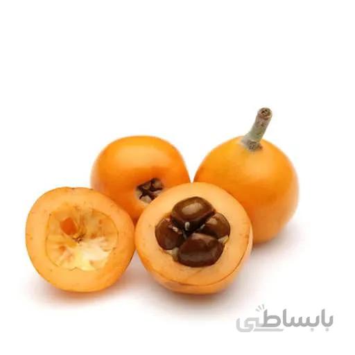 بذر درخت ازگیل ژاپنی