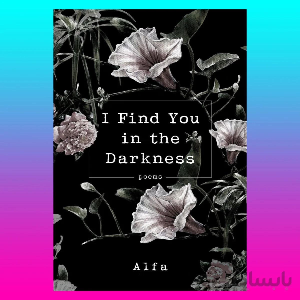 I Find You in the Darkness
