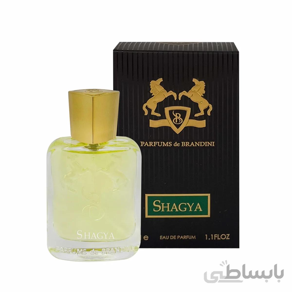 عطر جیبی مردانه برندینی مدل Shagya حجم 33 میل