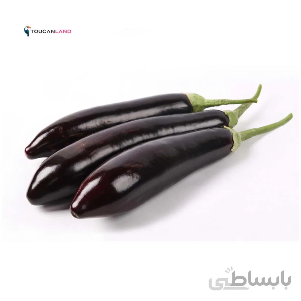 بذر بادمجان قلمی فلوریدا مارکت