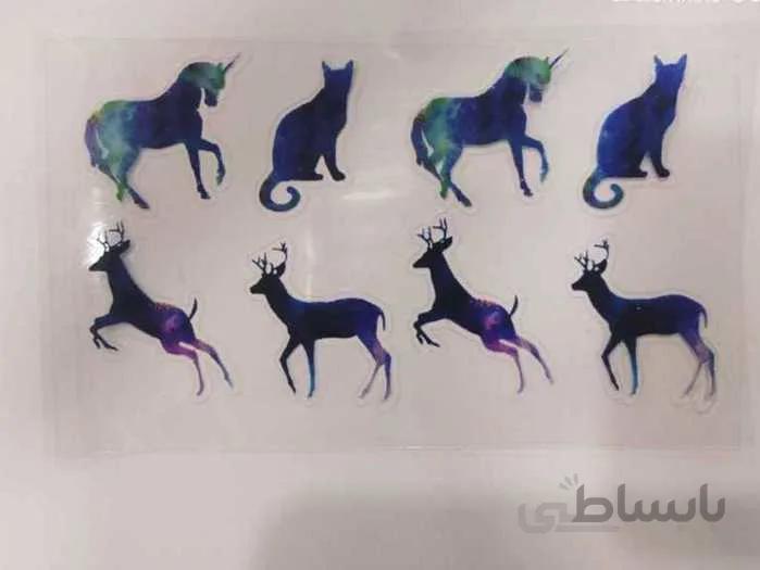 ترنسفر حیوانات