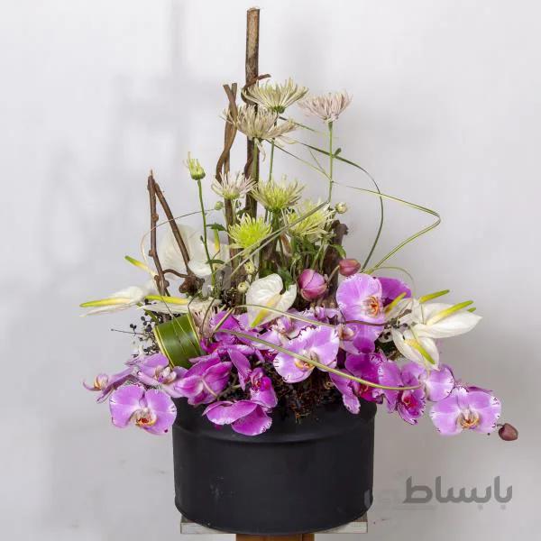 باکس گل