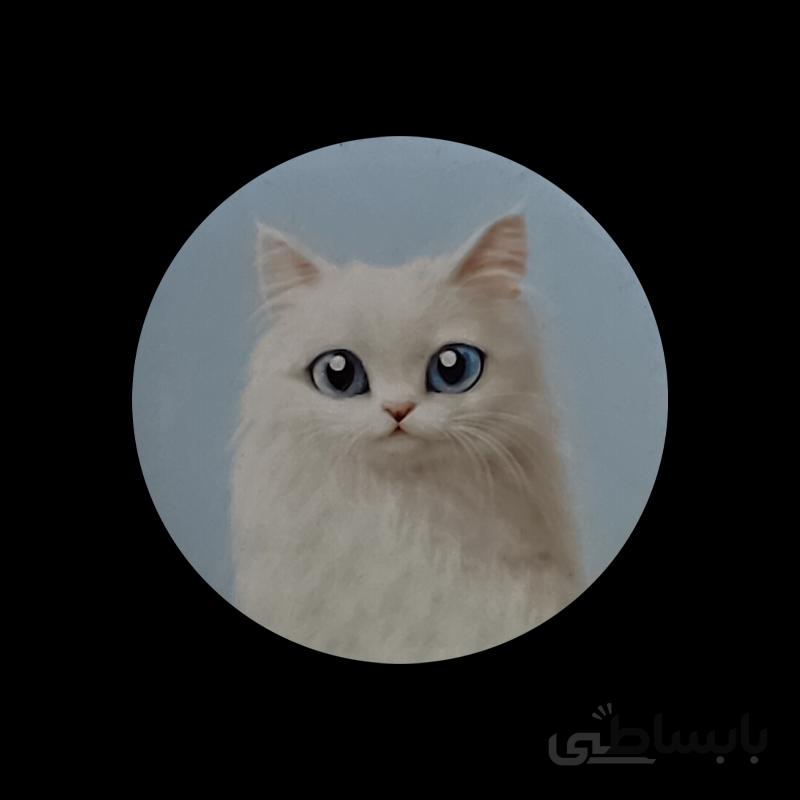 پیکسل طرح گربه