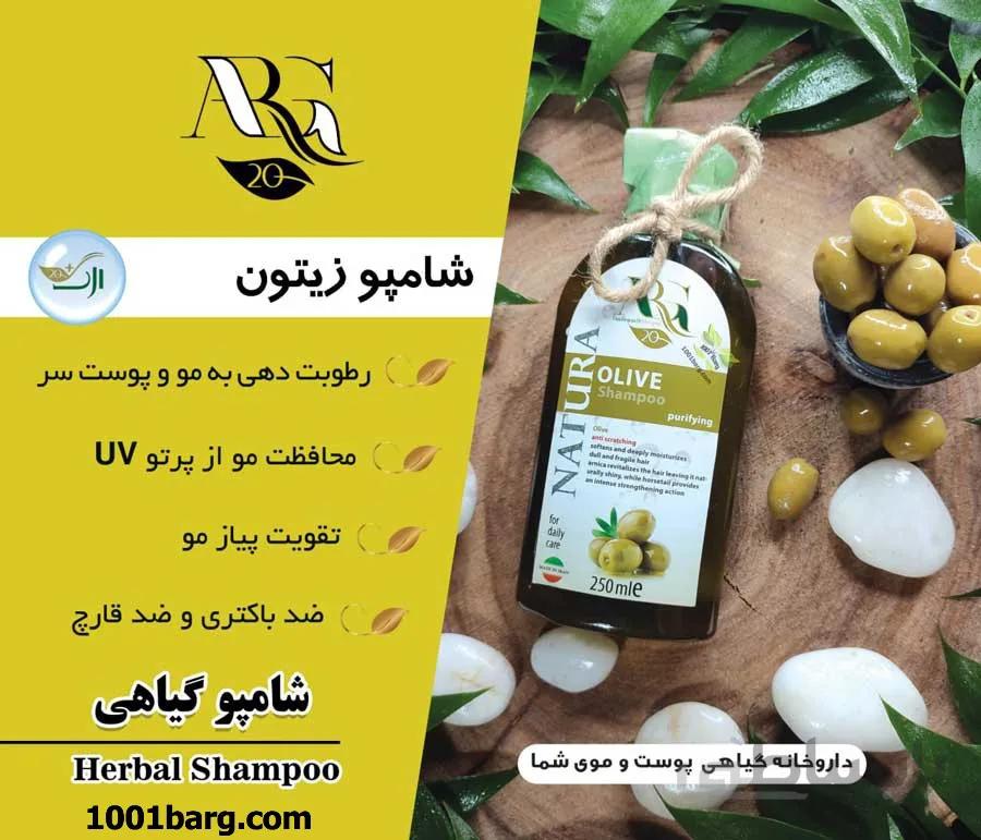 شامپو زیتون ارگ 20