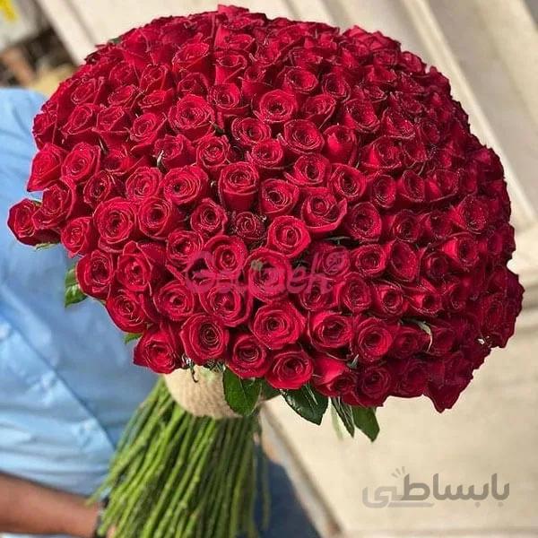 دسته گل رز قرمز۲۰۰شاخه