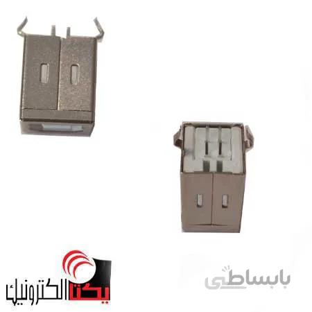 سوکت یو اس بی ماده صاف تایپB