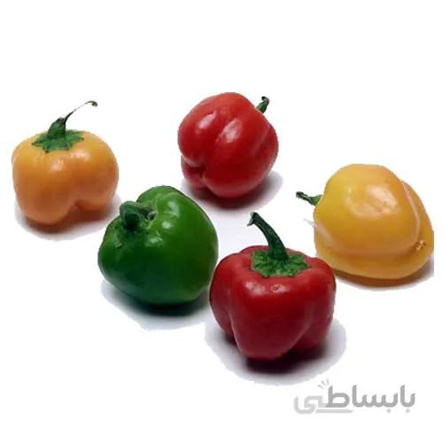 بذر فلفل دلمه ای بشقابی میکس