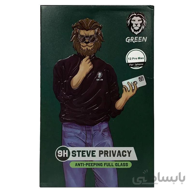 گلس گرین Green آیفون 12 پرو مکس مدل Steve Privacy