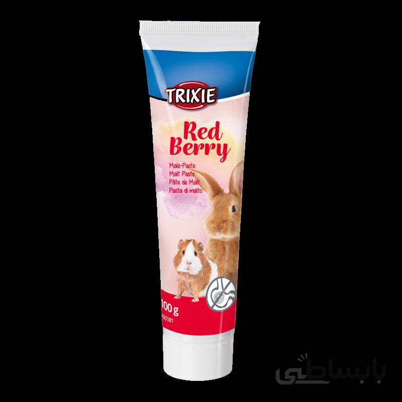 خمیر مالت جوندگان تریکسی مدل Red Berry وزن 100 گرم
