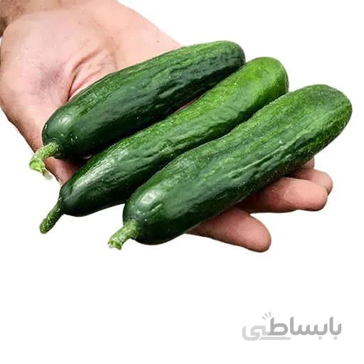 بذر خیار بیت الفا