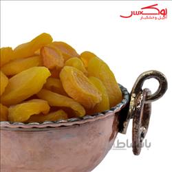 برگه زردآلو کد 446086
