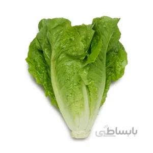بذر کاهو سبز