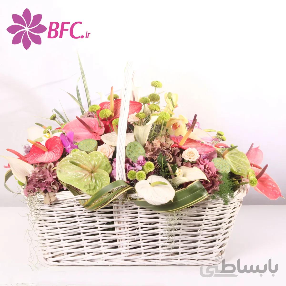سبد گل با آنتریوم و داودی مینیاتوری